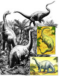 Dinosaures herbivores - Les animaux préhistoriques - Editions Hachette