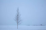 北海道　三愛　　2013.02.19