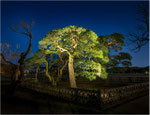 茨城　水戸偕楽園　2013.03.21