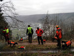 hoch über der Mosel (09.01.15)