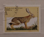 1995 - GUINEE - Lièvre de savane africaine
