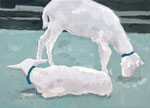 "Plan B"　2024　242×333mm　Oil on canvas