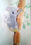Koala d'Antoine, 8 ans et demi (aquarelle)