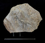 Familienaufstellung (Seite 2), 2025, Steatit, ca. 29 x 36 x 5 cm