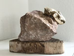 Bunny, 2024, Travertin, Holz, Fuchsschädel, Höhe 22 cm