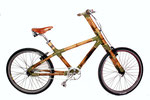 Buena Vista Bamboo Bike Tours