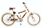 Buena Vista Bamboo Bike Tours