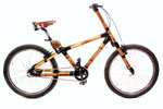 Buena Vista Bamboo Bike Tours