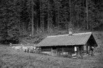 Reportage, Alpaufzug, S. Gygax-Zehnder Fotografie & Kunst
