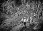 Reportage, Alpaufzug, S. Gygax-Zehnder Fotografie & Kunst