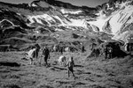 Reportage, Alpaufzug, S. Gygax-Zehnder Fotografie & Kunst