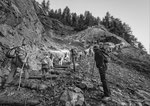 Reportage, Alpaufzug, S. Gygax-Zehnder Fotografie & Kunst