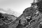 Reportage, Alpaufzug, S. Gygax-Zehnder Fotografie & Kunst