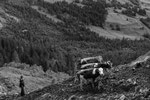 Reportage, Alpaufzug, S. Gygax-Zehnder Fotografie & Kunst