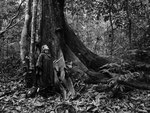 La foresta stregata del Borneo