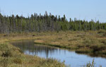 Riding Mountain National Park - Kanada