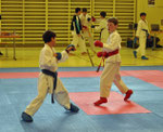 Kumite, Dario De Micheli
