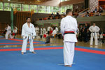 Kumite, Marco Luca