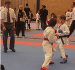 Kumite, David Vogel