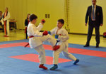Kumite, Veton Krasniqi