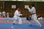 Kumite, Marco Luca
