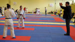 Kumite, Arlinda Musaj