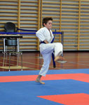 Kata, Joel Vogel