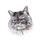 ご注文猫の肖像画・ガッシュ