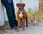 Unser Neo