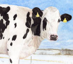 「丘の上のパンダ牛」2017　水彩