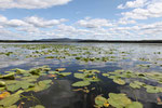 Sprout Lake, Teen-eh-ah Lodge