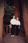 1998: Redwood trees-Muir Woods