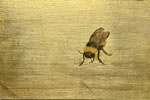 Hummel, Faserplatte, Ölvergoldung, Öl, 9,5 x 14,5, November 2021, verkauft