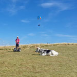 FUN MOVING GYROPODE SEGWAY ALSACE VOSGES