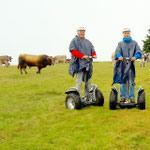 FUN MOVING GYROPODE SEGWAY ALSACE VOSGES