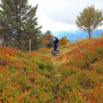 FUN MOVING GYROPODE SEGWAY ALSACE VOSGES