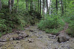 Bachlauf, nahe Wallgau