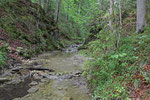 Bachlauf, nahe Wallgau