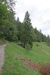 Wanderweg nahe Wallgau