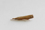 Zünsler, Agriphila tristella