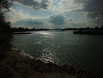 und dann plötzlich.... der Rhein