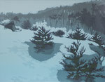Walk across the snow filed250×320mm_silkscreen_HIDEMIMOMMA_2017
