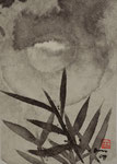 1991/9,5x13,5cm/ ID: M39-0105