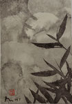 1991/9,5x14,0cm/ ID: M31-0097