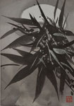 1991/9,0x13,5cm/ ID: M7-0073