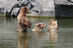 Zoo(m) Gelsenkirchen