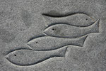 schönes Relief am Hafen