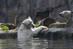 Zoo(m) Gelsenkirchen