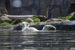 Zoo(m) Gelsenkirchen