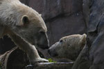 Zoo(m) Gelsenkirchen